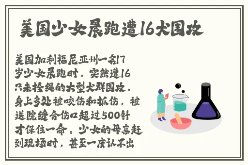91精品久久久久久